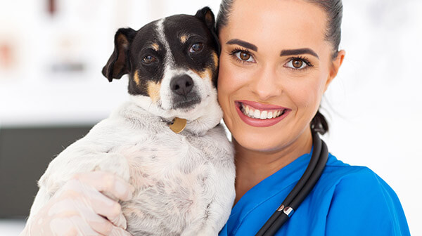 20 Qualified Pet care Professionals